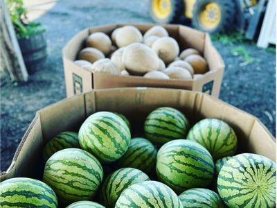 Check our this Local Farm: DeSantis Farm 