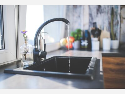 What is in your Tap Water? 